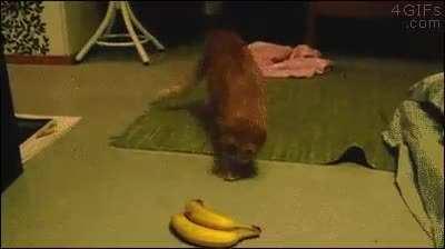 Bananas are scary af.