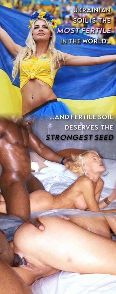 Breed Eastern Europe Black