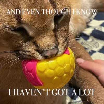 i’m happy, i made this myself and got a bunch of likes on instagram so i figured i’d post it here