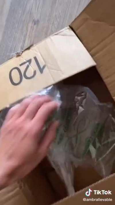 Always clean your toilet