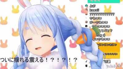 Pekora’s new 3D model UwU