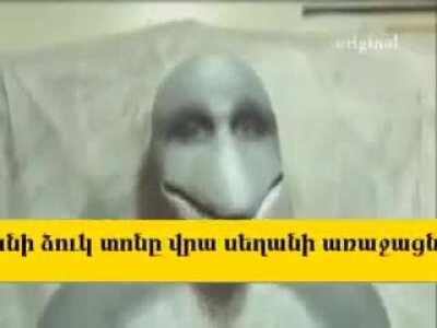 stfu buy one for 1390 amd