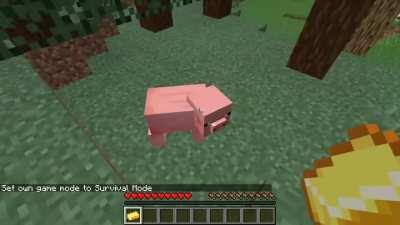 Dream Cheating Allegations Debunked