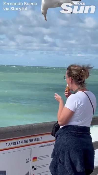 Caught on camera: seagull steals woman’s ice cream in Étretat, France 🇫🇷 (Video by Fernando Bueno)