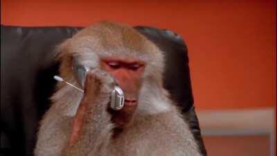 dankgentina - Video #3946