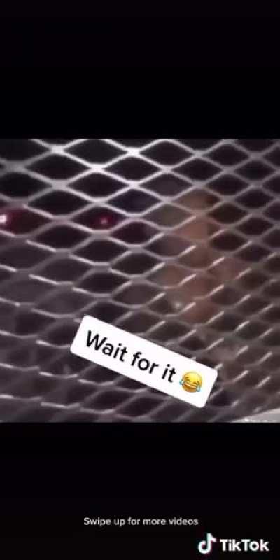 no caption necessary