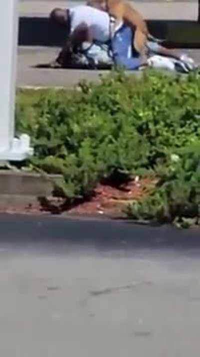 Two Men Get Into Fight And One Of Their Dogs Starts Humping Them 😰