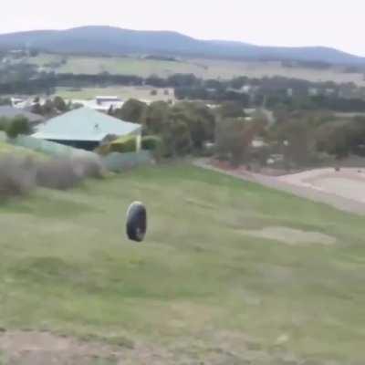 Tire Town calls, and I will answer.