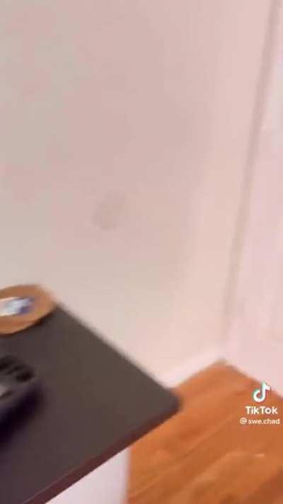 Most sane tiktok cybersecurity expert