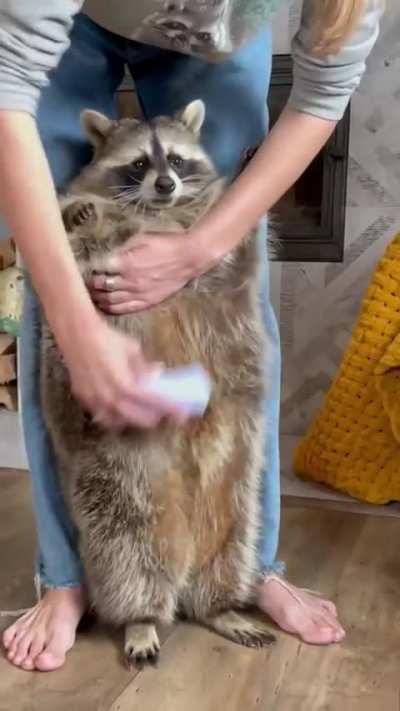 Ya Gotta See The Baby!