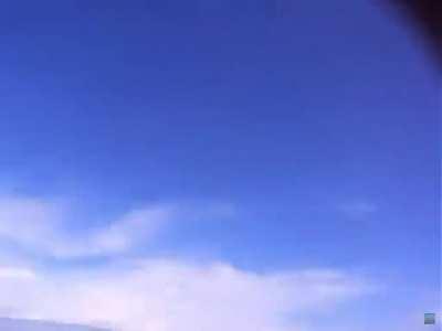 Footage of Basking shark’s.