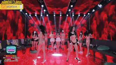 Korean Panda Content