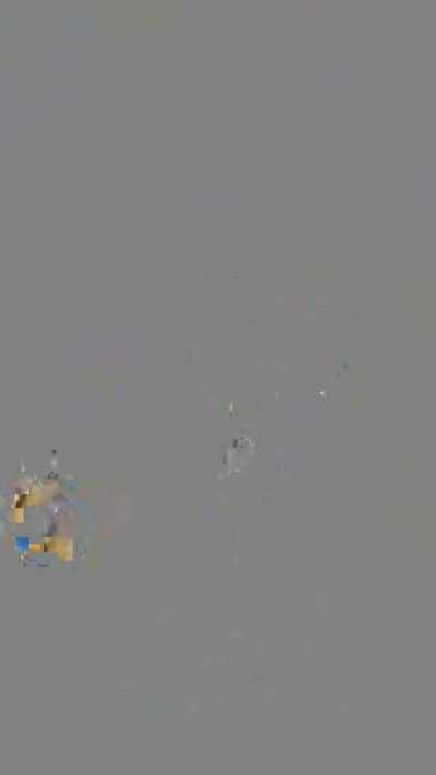 Former US Major says humans are hybrids