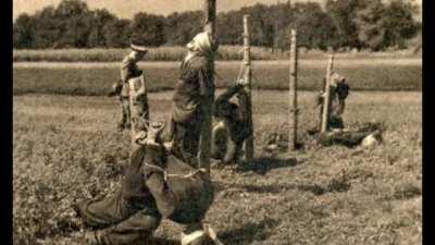 Communist Romania was so great/s