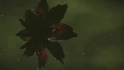 Probably the sound of Thargoid breathing. (Sorry about the flickering)