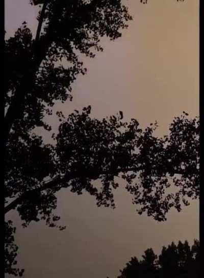 Feeling the rainy moments