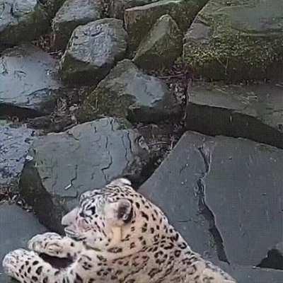 О снимаете, так и быть попозирую