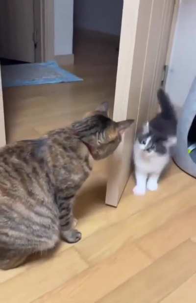 First Meeting ❤️