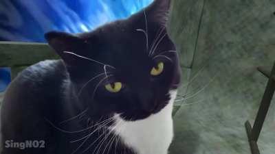 I was told to post this here (Credit to SingNO22 on twitter