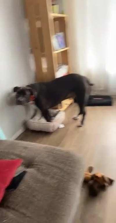 My heart! He looks so defeated.