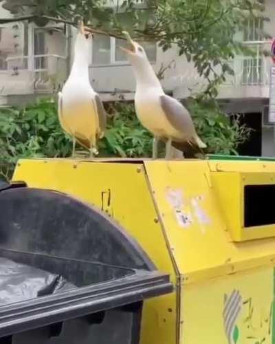 Nothing like having a good laugh with your best friend