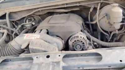 I've seen videos, never in person before.