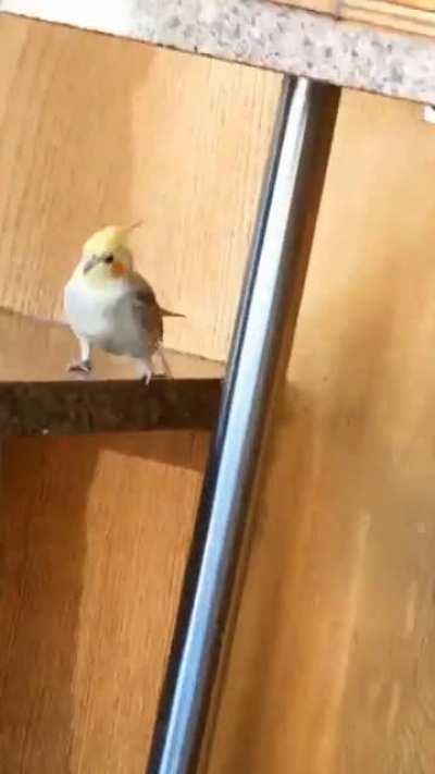 Smol criminal apprehended for their crimes against big seeb