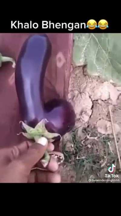 Eggplant