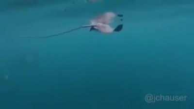 Издевается