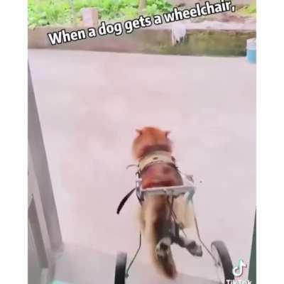 Doge army where you at? Doge needs us right now. Just Hodl!