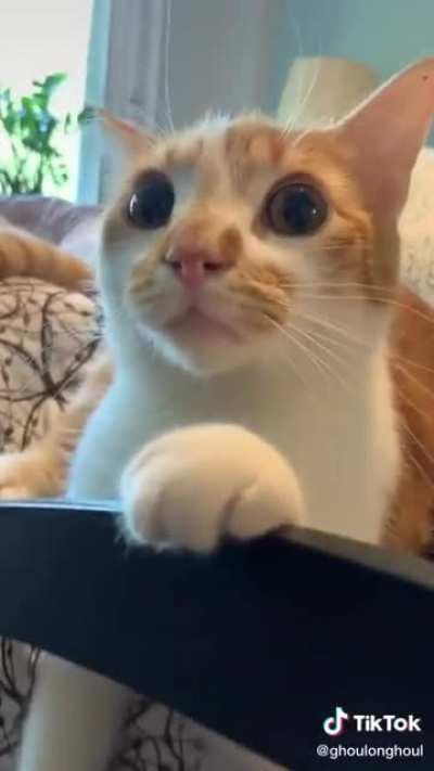 Dang it mom pick him up!!