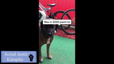 die 4 Launen des Manes