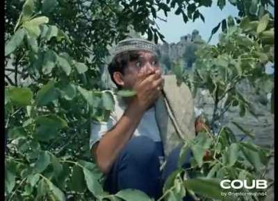 Хищническое