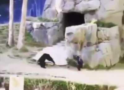 Epic Wukong outplay in mid lane