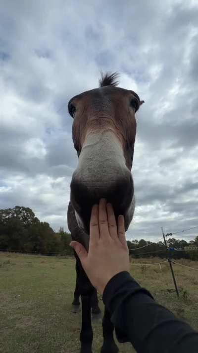 Lazlo: Bopit edition