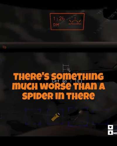 It's just a spider :)