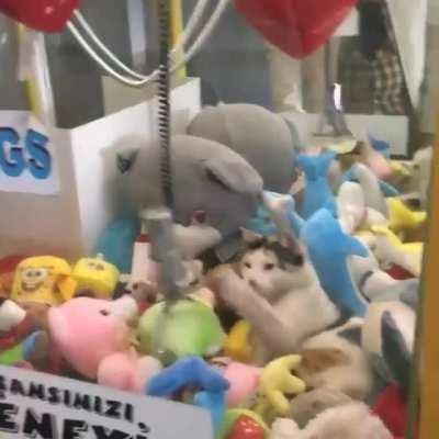 Crane machine attendant