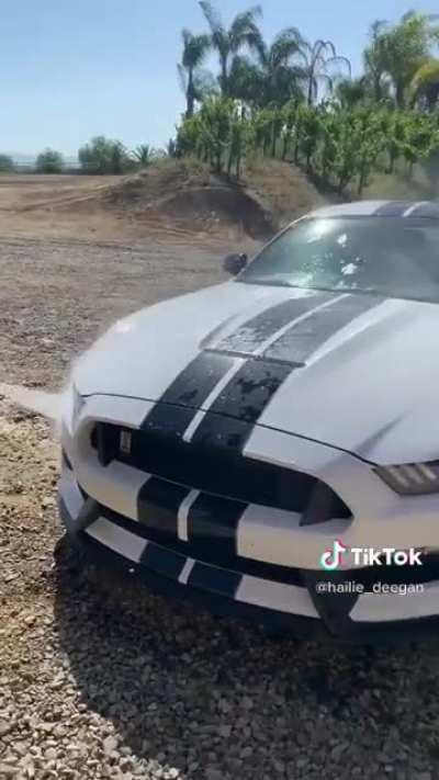 Tiktok extended version