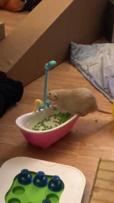 Pea fishing!