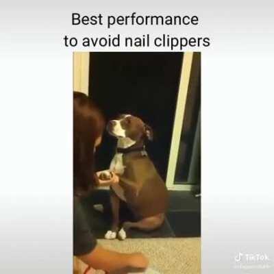 Oscar award winning performance here