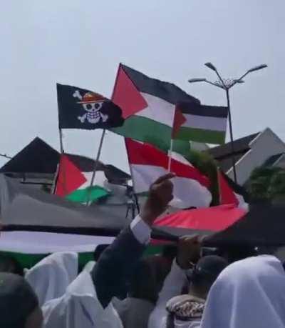 Los nakamas han llegado demasiado lejos