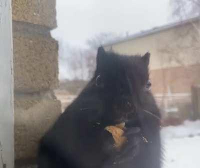 I can’t take her cuteness 😭