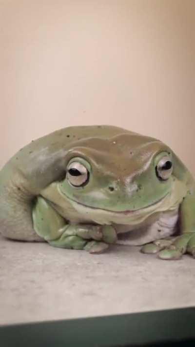 This unit of a frog