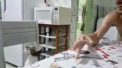 This cat reaction seeing magic tricks