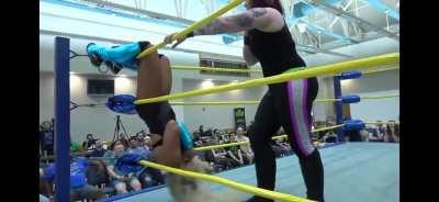 Barbi Hayden gets tree of woe low blow