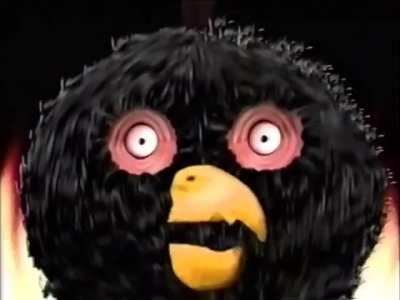 The birds are coming