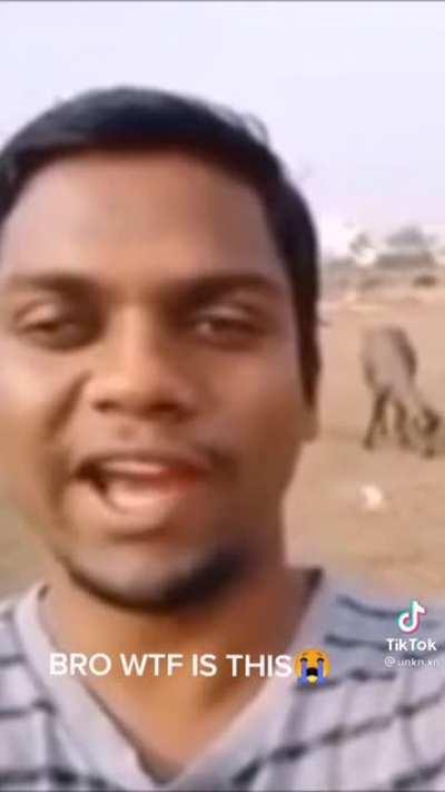 Fortnite Burger gang