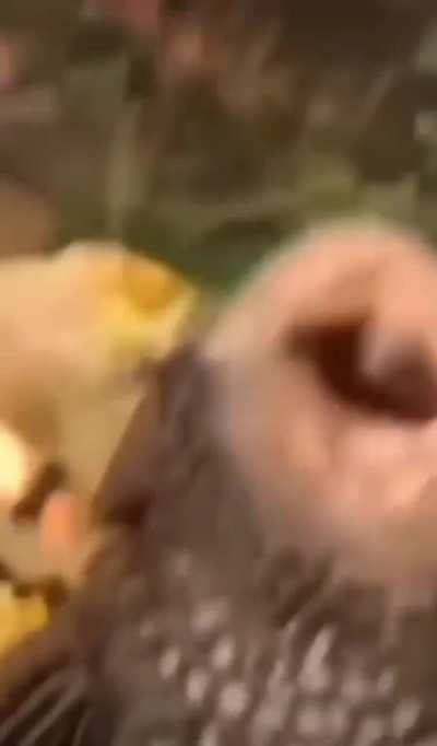 the kind of deals that make ya boogie