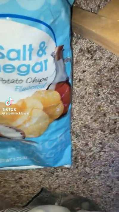 Bro is scurrying away