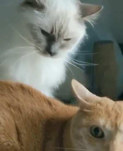 what a jerk, he took his spot